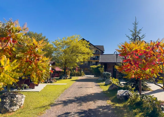 Pensiunea Hora Cu BraziPensiune