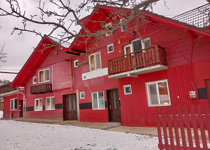 Pensiunea Irina Zarnesti 3-1990